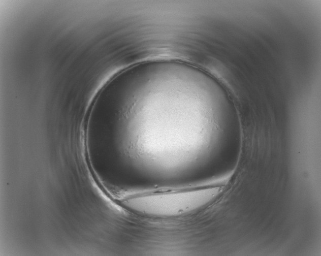 X0000062801476200512221351