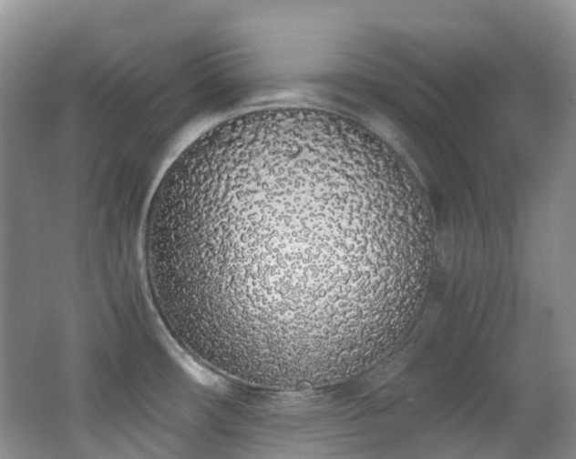 X0000062801482200512221350