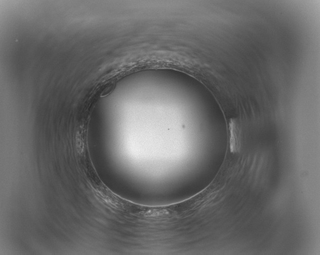 X0000062801491200512221350