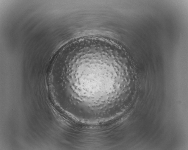 X0000062801497200512221350