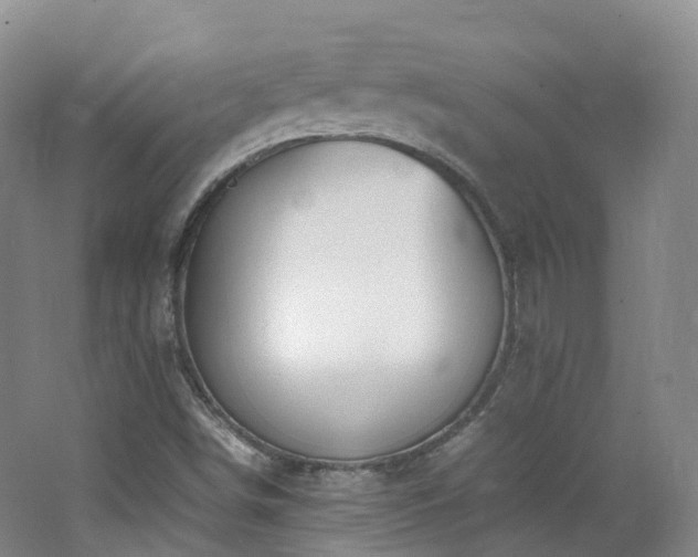 X0000062801498200512221350