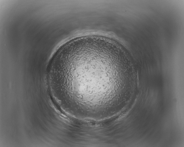X0000062801501200512221350