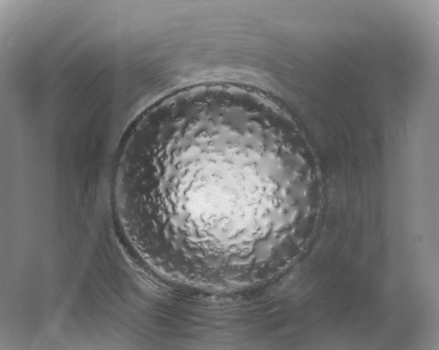 X0000062801505200512221350