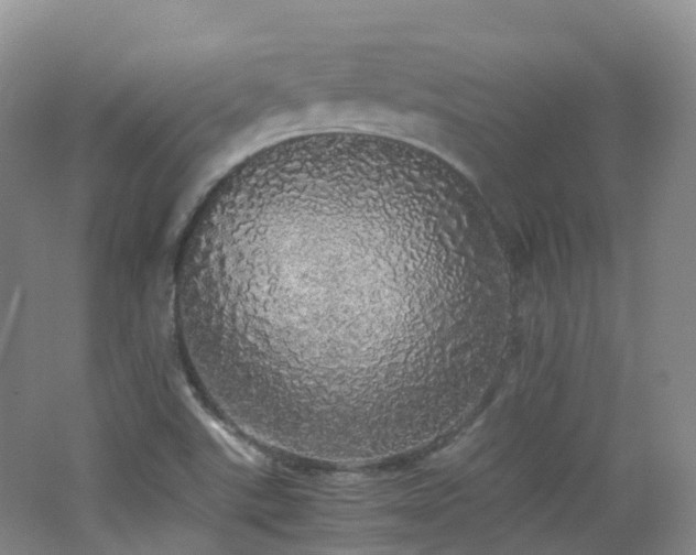 X0000062801507200512221350
