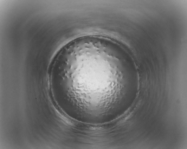 X0000062801509200512221350