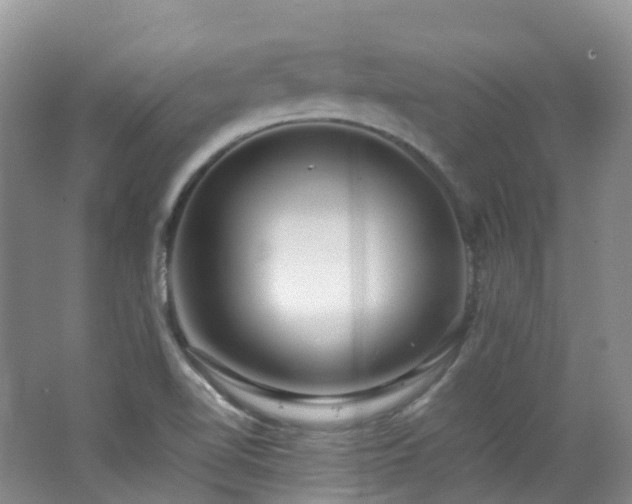 X0000062801510200512221350
