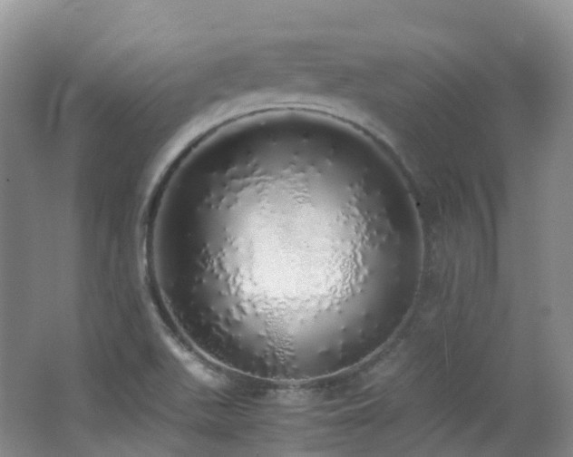 X0000062801511200512221350
