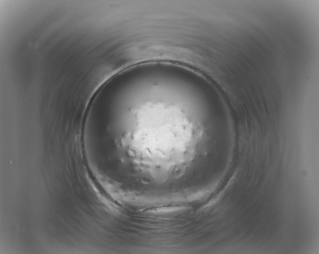 X0000062801513200512221350