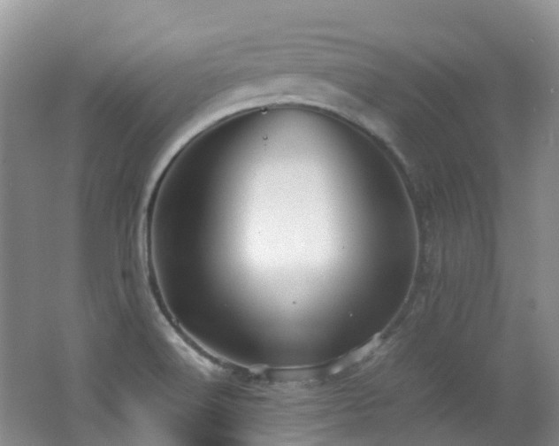 X0000062801516200512221350