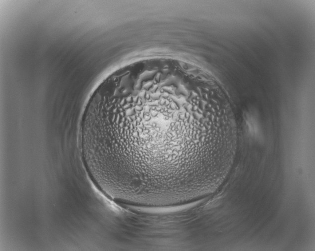 X0000062801527200512221350