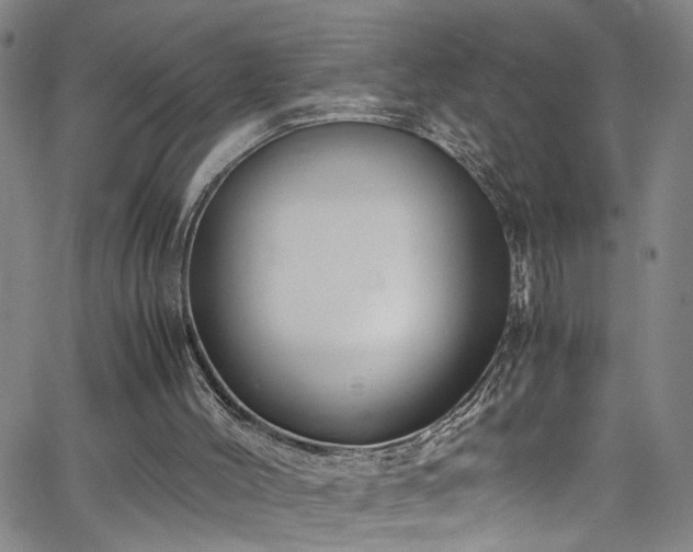 X0000062800004200512261607