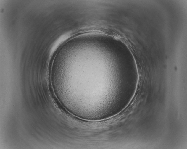 X0000062800006200512261607