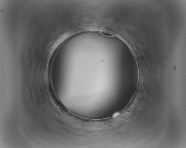 X0000062800008200512261607