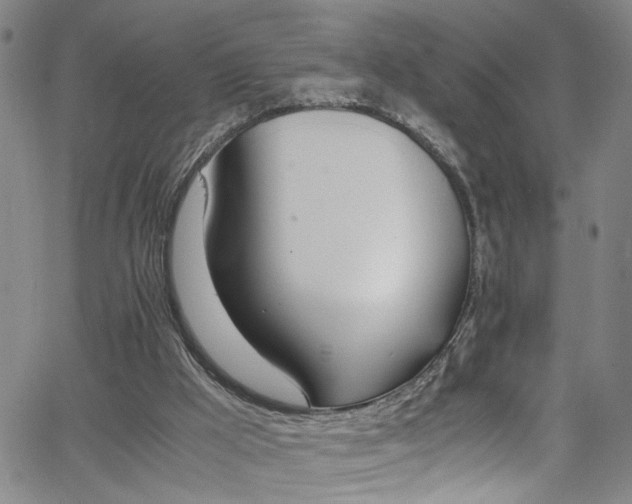 X0000062800009200512261607