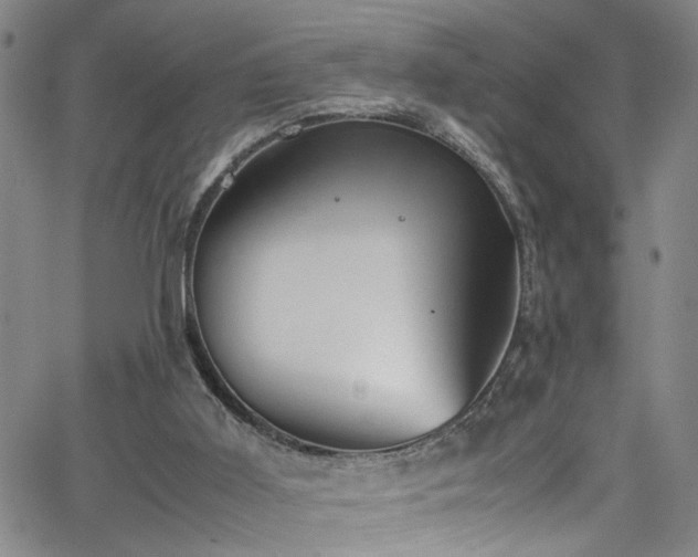 X0000062800011200512261607
