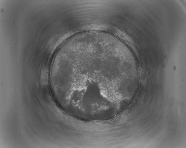 X0000062800012200512261607