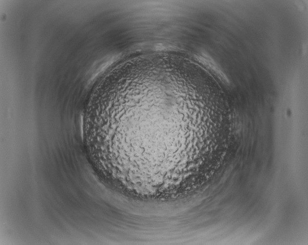 X0000062800014200512261607