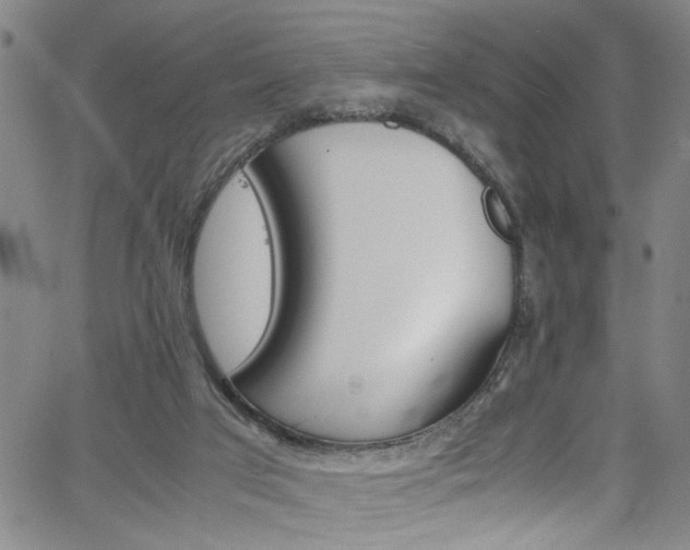 X0000062800017200512261607