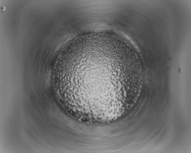 X0000062800018200512261607