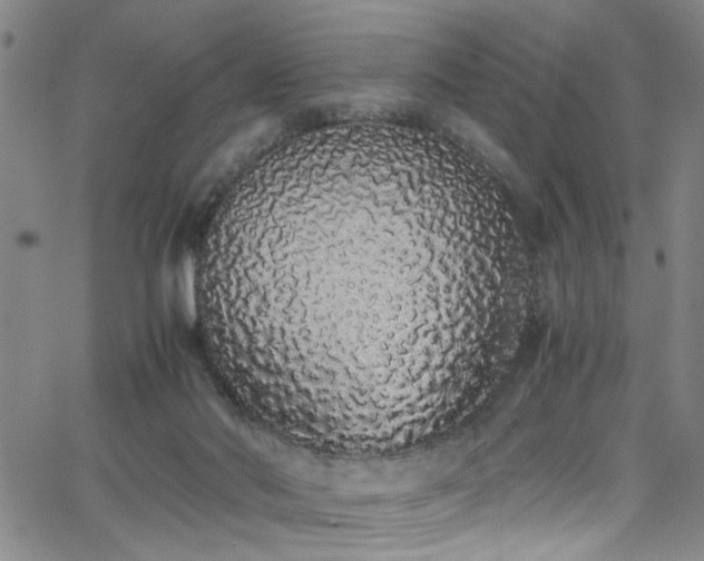 X0000062800022200512261607