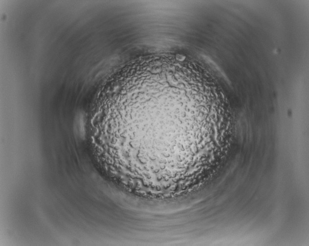X0000062800026200512261607