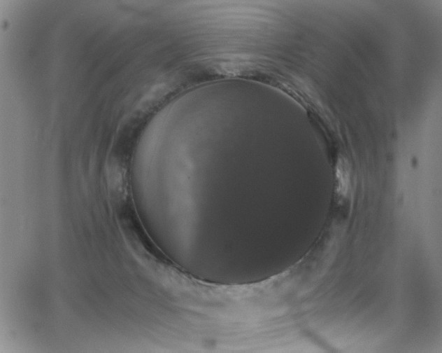 X0000062800031200512261607