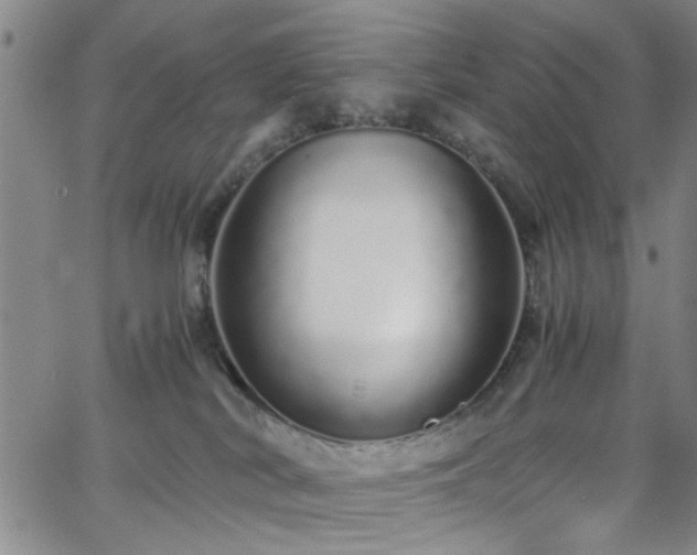 X0000062800038200512261607