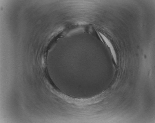 X0000062800039200512261607