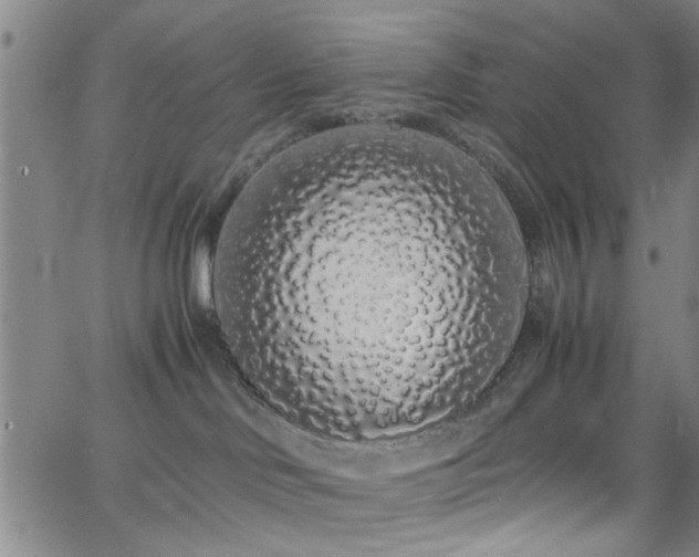 X0000062800046200512261607