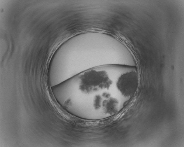 X0000062800049200512261606