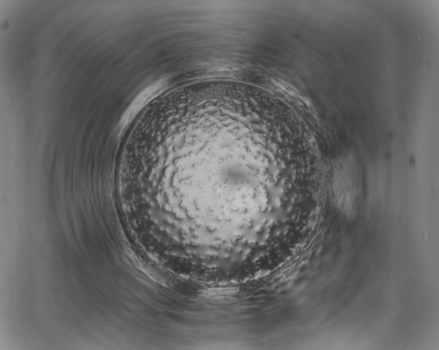 X0000062800051200512261606