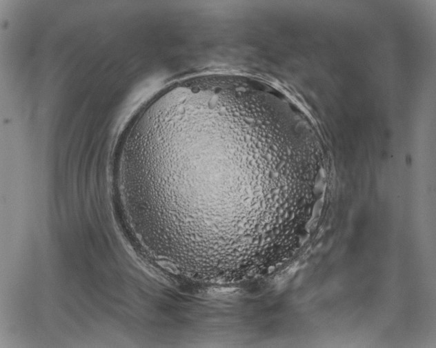 X0000062800055200512261606