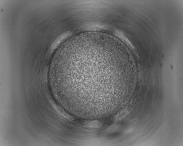 X0000062800058200512261606