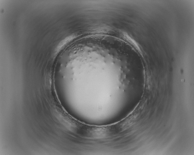 X0000062800059200512261606