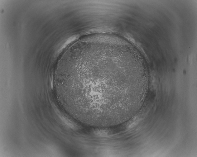 X0000062800062200512261606