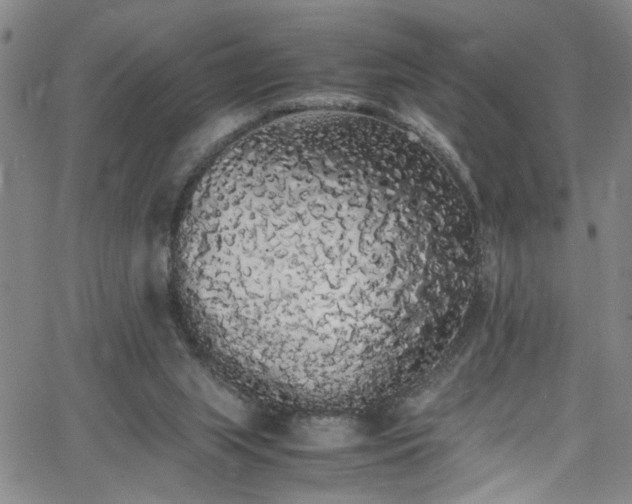 X0000062800063200512261606