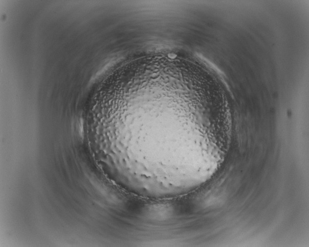X0000062800067200512261606