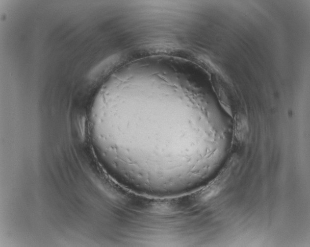 X0000062800070200512261606