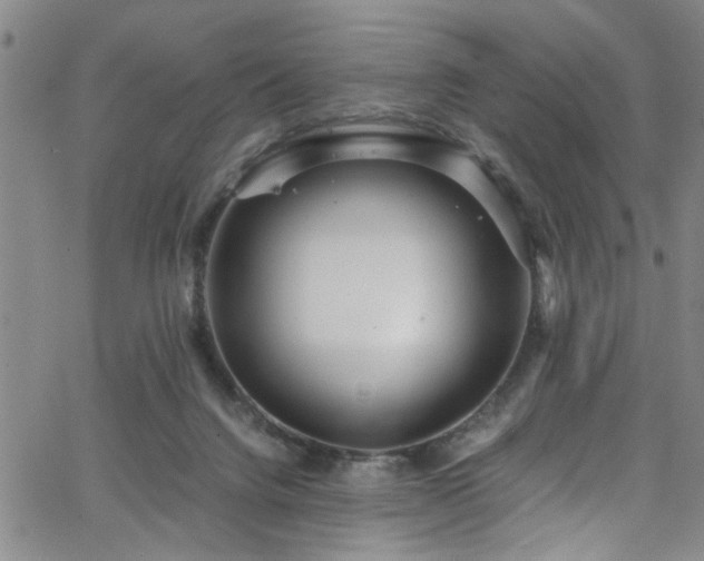 X0000062800072200512261606