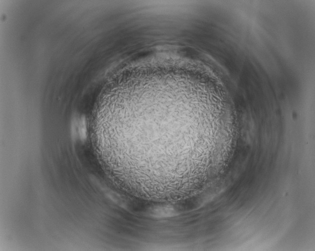 X0000062800075200512261606