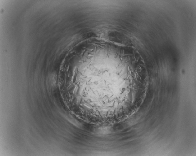 X0000062800081200512261606