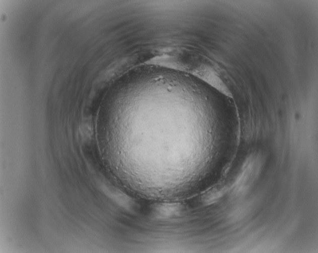 X0000062800085200512261606