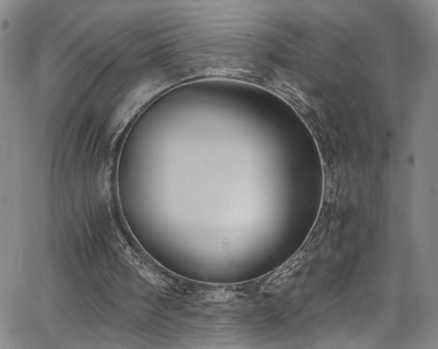 X0000062800098200512261606