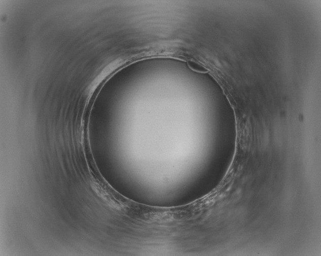 X0000062800100200512261606