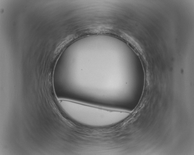 X0000062800105200512261606
