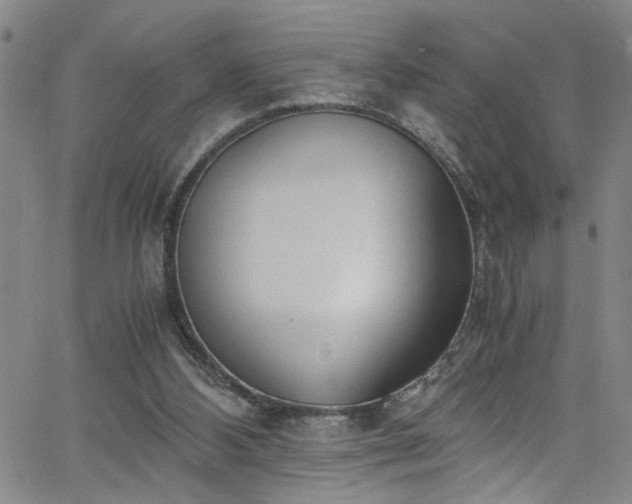 X0000062800108200512261606