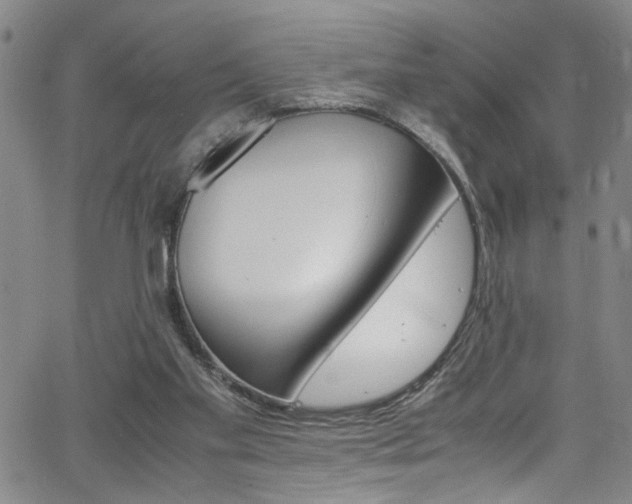 X0000062800109200512261606