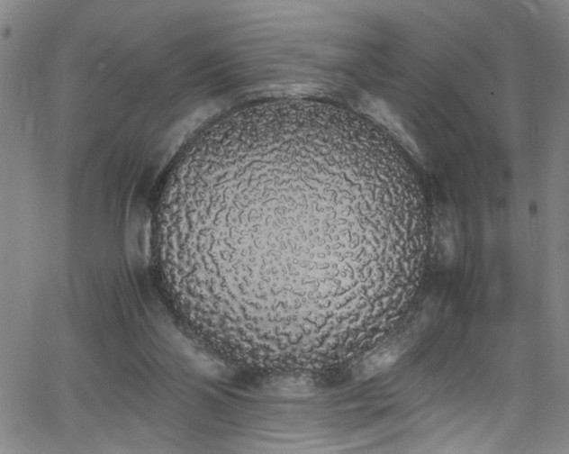 X0000062800110200512261606