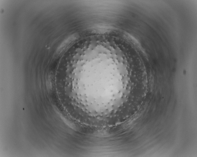 X0000062800114200512261605