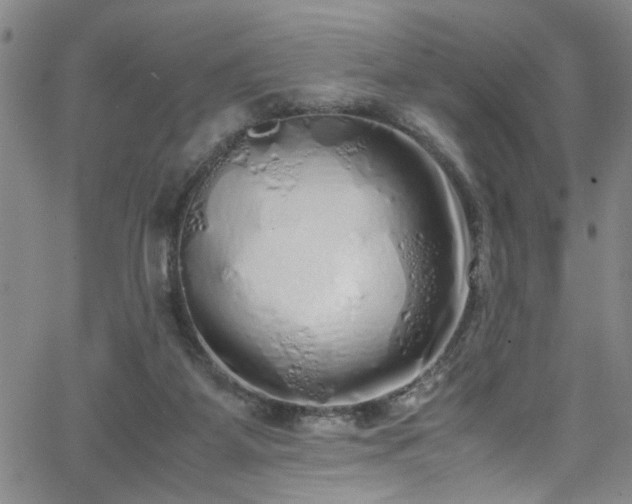 X0000062800115200512261605